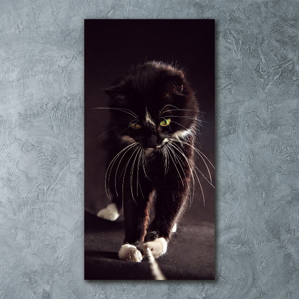 Cuadro decorativo en acrílico brillante vertical Gato negro