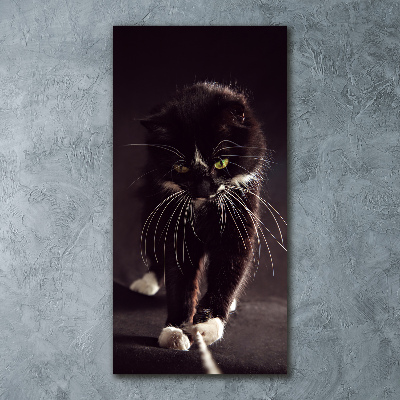 Cuadro decorativo en acrílico brillante vertical Gato negro