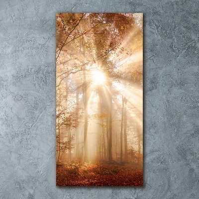 Obraz zdjęcie akryl pionowy Las jesienią
