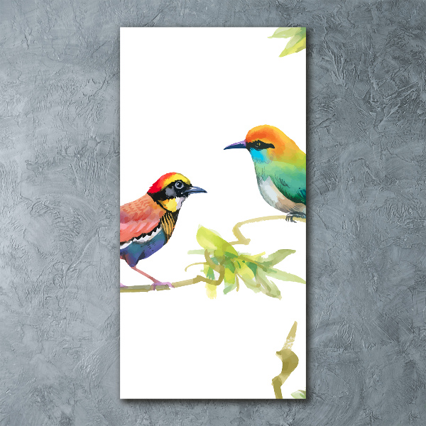 Obraz zdjęcie szkło akryl pionowy Ptaki