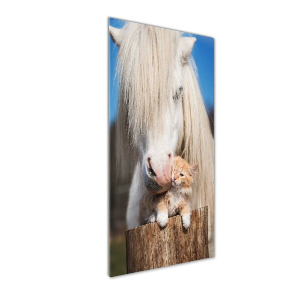 Cuadro de metacrilato vertical Caballo blanco con un gato