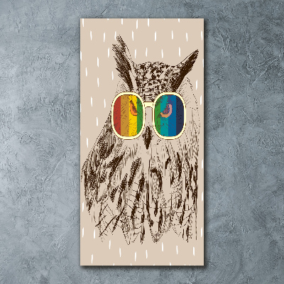 Obraz zdjęcie na ścianę akryl pionowy Sowy w okularach
