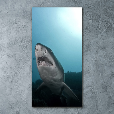 Impresión en metacrilato de alta calidad vertical Gran tiburón