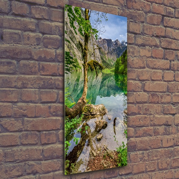 Obraz zdjęcie akryl pionowy Jezioro w górach