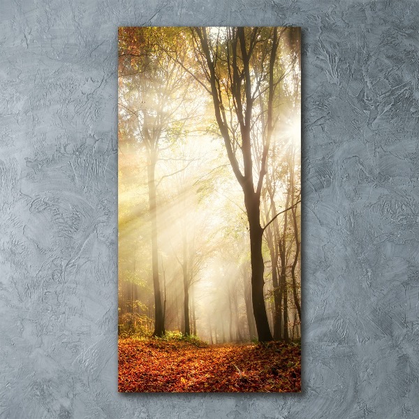 Cuadro decorativo en acrílico brillante vertical Bosque en otoño