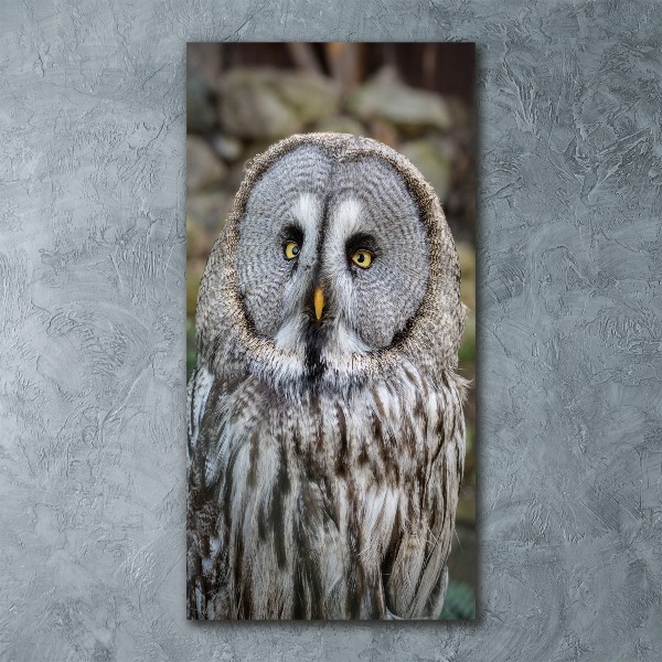 Cuadro de metacrilato vertical Búho