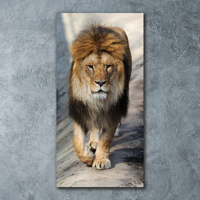 Foto obraz akryl pionowy Lew