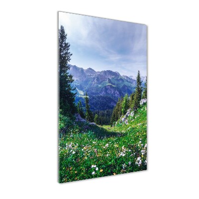 Cuadro de metacrilato moderno efecto cristal vertical Alpes