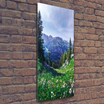 Cuadro de metacrilato moderno efecto cristal vertical Alpes