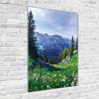 Cuadro de metacrilato moderno efecto cristal vertical Alpes