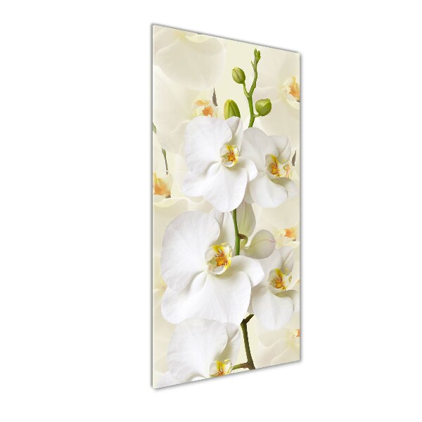 Cuadro de metacrilato moderno efecto cristal vertical Orquídea blanca