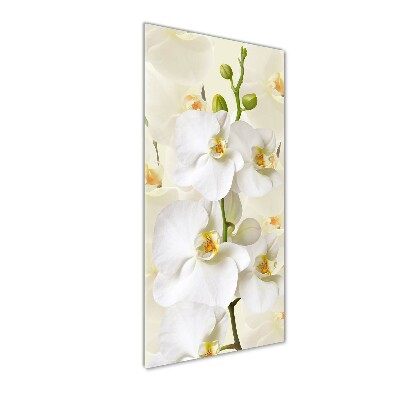 Cuadro de metacrilato moderno efecto cristal vertical Orquídea blanca