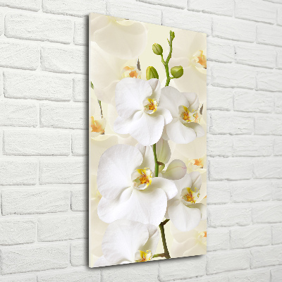 Cuadro de metacrilato moderno efecto cristal vertical Orquídea blanca