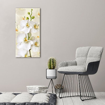 Cuadro de metacrilato moderno efecto cristal vertical Orquídea blanca