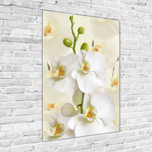 Cuadro de metacrilato moderno efecto cristal vertical Orquídea blanca