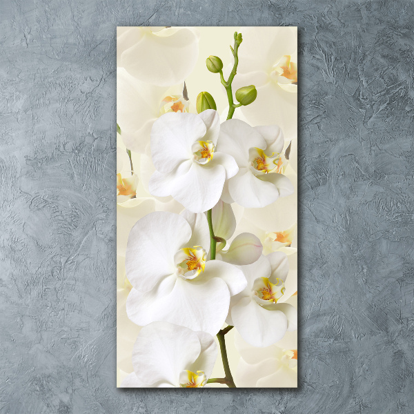 Cuadro de metacrilato moderno efecto cristal vertical Orquídea blanca