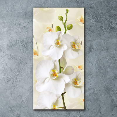 Cuadro de metacrilato moderno efecto cristal vertical Orquídea blanca