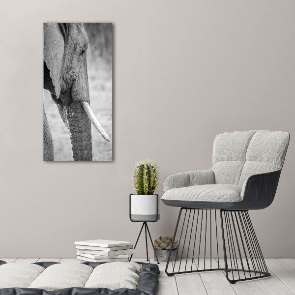 Cuadro de metacrilato moderno efecto cristal vertical Elefante