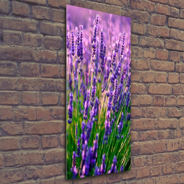 Cuadro decorativo en acrílico brillante vertical campo de lavanda