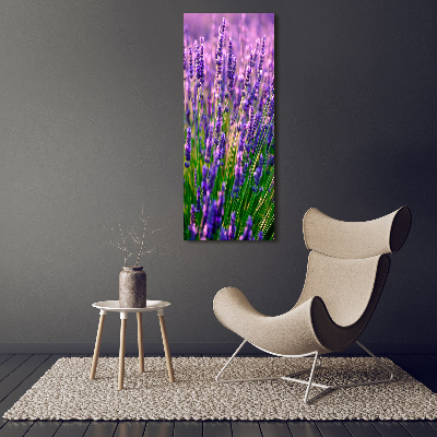 Cuadro decorativo en acrílico brillante vertical campo de lavanda