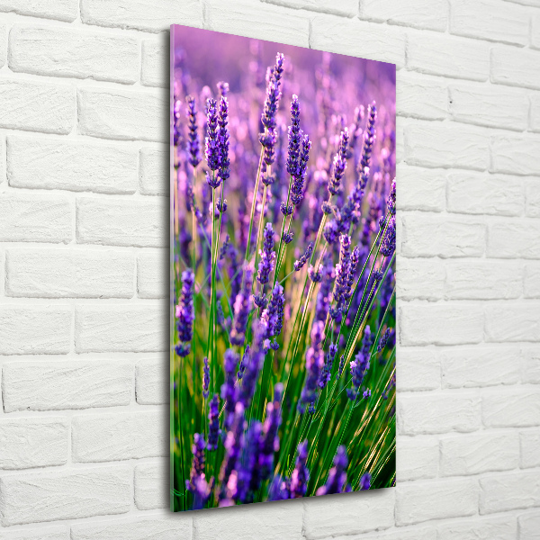 Cuadro decorativo en acrílico brillante vertical campo de lavanda
