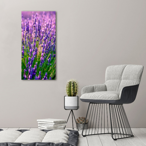 Cuadro decorativo en acrílico brillante vertical campo de lavanda