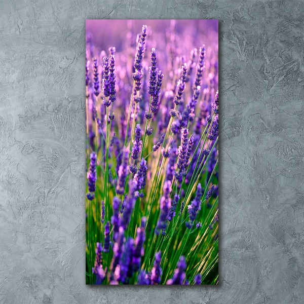 Cuadro decorativo en acrílico brillante vertical campo de lavanda