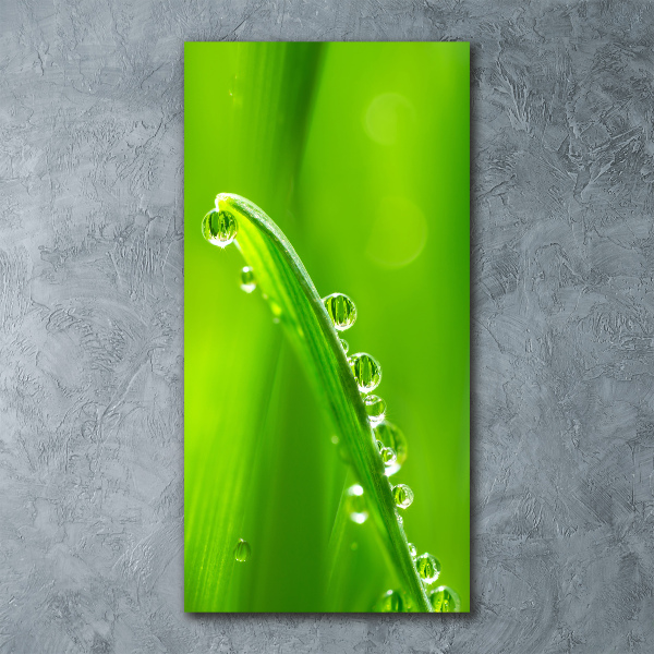 Cuadro de metacrilato moderno efecto cristal vertical Briznas de hierba