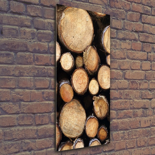 Cuadro de metacrilato moderno efecto cristal vertical Troncos de madera