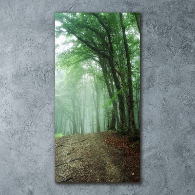 Cuadro de metacrilato moderno efecto cristal vertical Niebla en el bosque