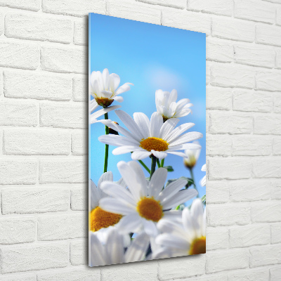 Cuadro decorativo en acrílico brillante vertical margaritas