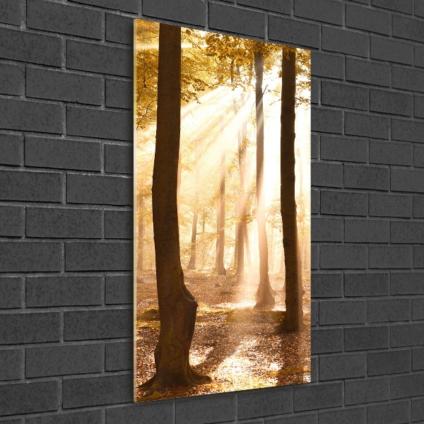 Cuadro de metacrilato vertical Bosque en otoño
