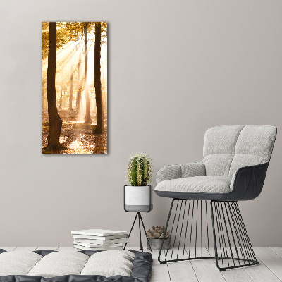 Cuadro de metacrilato vertical Bosque en otoño