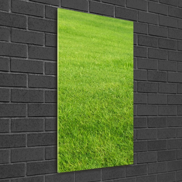 Cuadro de metacrilato moderno efecto cristal vertical Hierba verde