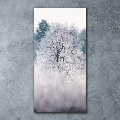 Obraz zdjęcie szkło akryl pionowy Las zimą