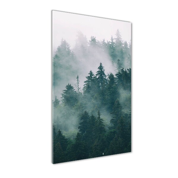 Cuadro de metacrilato moderno efecto cristal vertical Niebla sobre el bosque
