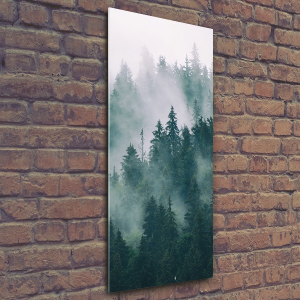 Cuadro de metacrilato moderno efecto cristal vertical Niebla sobre el bosque