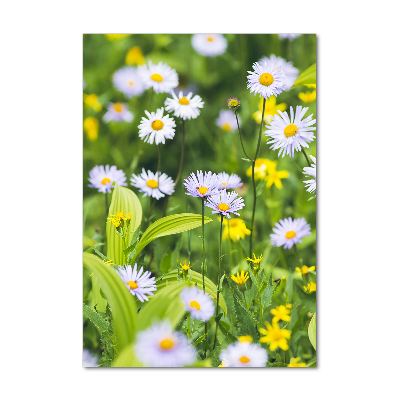 Cuadro de metacrilato vertical margaritas