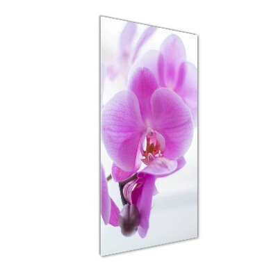 Cuadro decorativo en acrílico brillante vertical Orquídea rosa