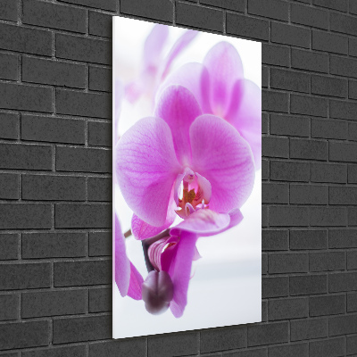 Cuadro decorativo en acrílico brillante vertical Orquídea rosa