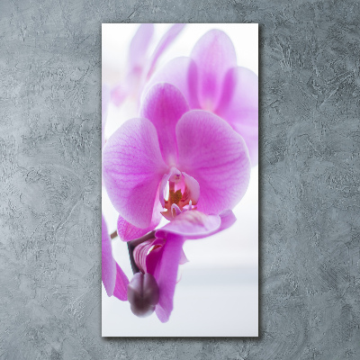 Cuadro decorativo en acrílico brillante vertical Orquídea rosa
