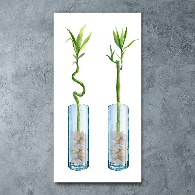 Cuadro de metacrilato moderno efecto cristal vertical Bambú en una maceta