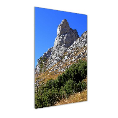 Cuadro de metacrilato moderno efecto cristal vertical Pequeños montes Tatra de Giewont
