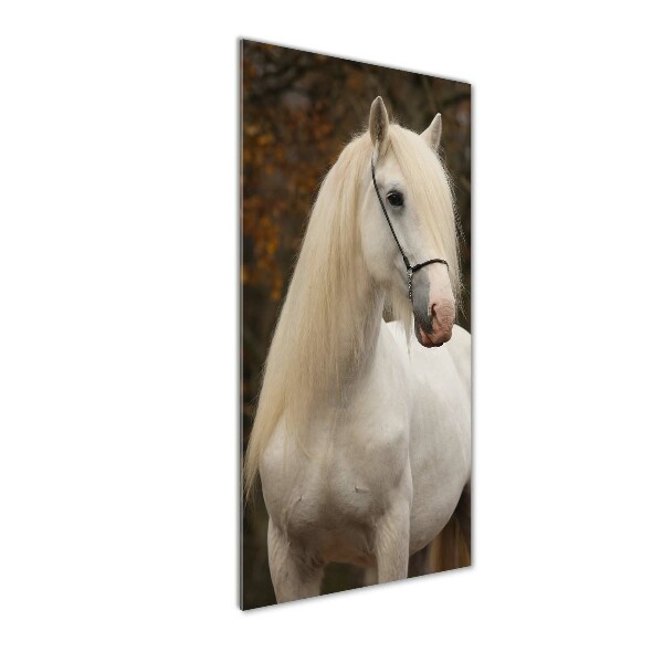 Cuadro decorativo en acrílico brillante vertical Caballo blanco