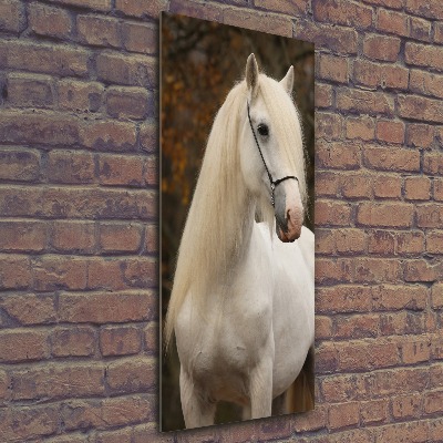 Cuadro decorativo en acrílico brillante vertical Caballo blanco