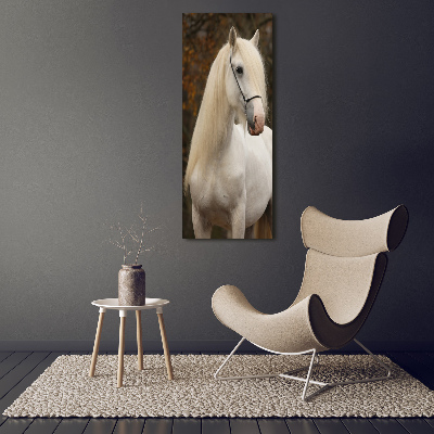 Cuadro decorativo en acrílico brillante vertical Caballo blanco