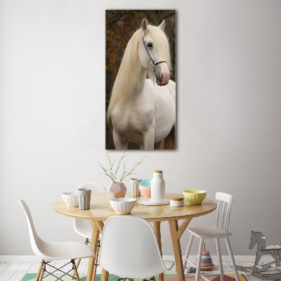 Cuadro decorativo en acrílico brillante vertical Caballo blanco