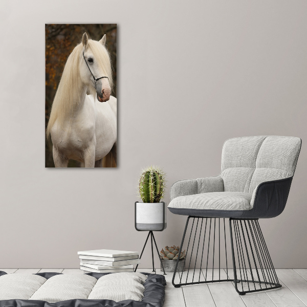 Cuadro decorativo en acrílico brillante vertical Caballo blanco