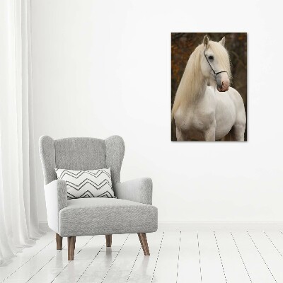 Cuadro decorativo en acrílico brillante vertical Caballo blanco