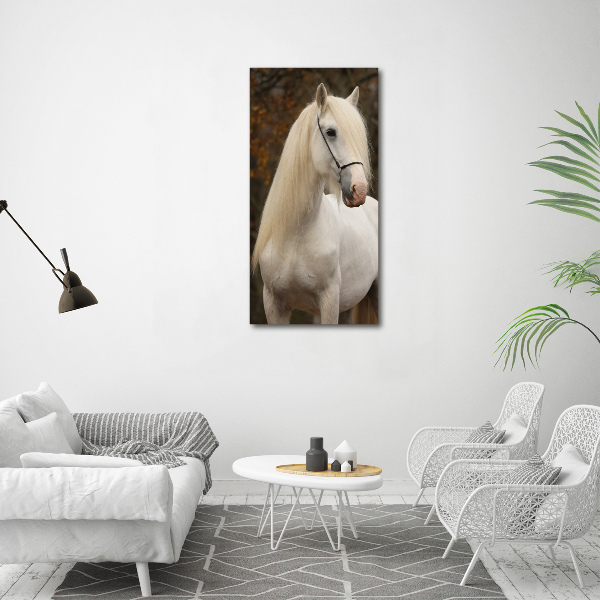 Cuadro decorativo en acrílico brillante vertical Caballo blanco